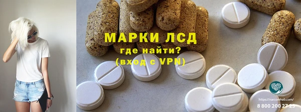 индика Алзамай