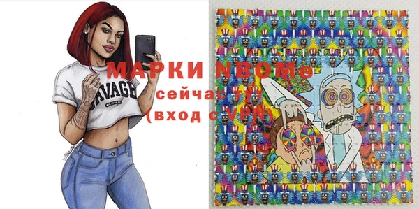 индика Алзамай