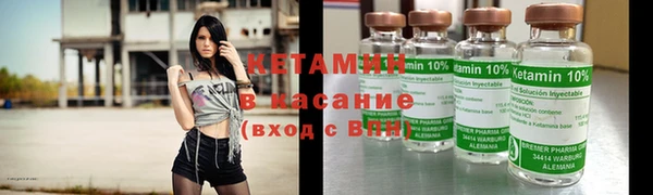 индика Алзамай