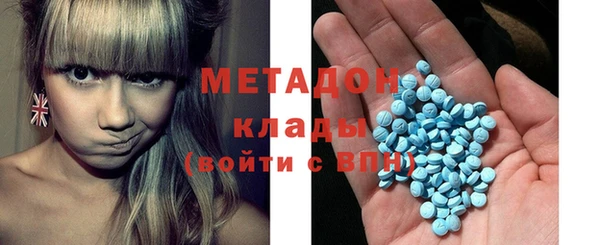 индика Алзамай